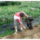 진서농장 이미지