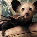 아이아이 이미지