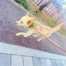 원당동물병원 이미지