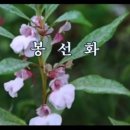 예심농장 이미지