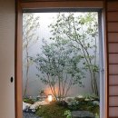 소나무디자인 이미지