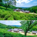 다솔사길 | 경남 사천 가볼만한곳 ★ 사천 여행 코스 BEST 4 사천 비토섬 신우리조트 스파 풀빌라 펜션