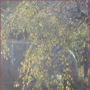 수련산방 이미지