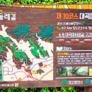 천내천 티스토리