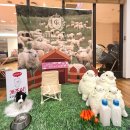 홍이농장 | 천안 신세계아카데미 문센 후기 | 11개월 아기 리틀자이언트 농장 동물친구들 만난 겨울학기 4번째 수업