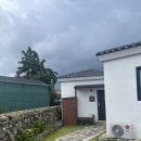 스테이 릴리 이미지