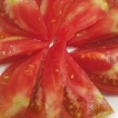 역말농장 이미지