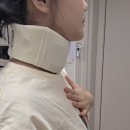 아그얼라 | 내돈내산 승무원 목보호대 추천 직접 써본 얼라인비 목보호대 솔직 후기