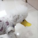 폴리파크 반송점 이미지