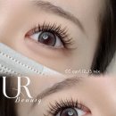 맥시멈래쉬LED속눈썹&브로우바 | cc컬연장 / 볼륨연장 / 대구속눈썹연장 /동성로속눈썹연장