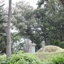 낙선군묘 이미지