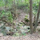 춘천공인중개사사무소 이미지