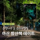 별빛은하수 | 아산 곡교천 은행나무길 은하수별빛 야간산책 데이트 코스