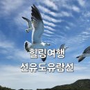 선유도 관광안내소 | 군산 선유도유람선 관광 탑승후기 - 아름다운 고군산군도의 섬과 갈매기와 푸른 바다 위 힐링여행