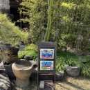 부잣집보쌈 | 창녕에서 만난 그림 같은 식당｜내돈내산 보쌈 맛집 '부잣집 보쌈' 방문 후기 (주차/메뉴/가격)