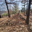 팔곡당산 산신당 및 산신제 이미지