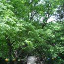 이개보개 | 扶餘 無量寺