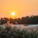 하늘공원 이미지