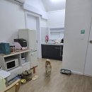 그린펜션 | 가평 반려견 동반 숙소 &#39;댕댕이 애견펜션 그린 비숑룸&#39; 이용 후기