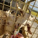 참우농장 이미지