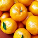 서울고른이치과교정과치과의원 이미지