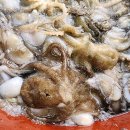 오늘도낙지 이미지