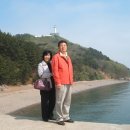 상록합동공인중개사사무소 Daum카페