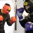 병점태양권투체육관 이미지