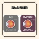 충주호당의원 이미지
