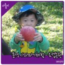요셉사과농원