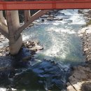 승일공원(승일교) 이미지