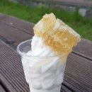 인생참치 이미지
