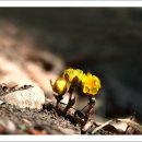 냉천공원 이미지