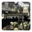 또리 펫 푸드 | 서울 접근성 좋은 25년 신상 웨딩홀, 그레이스파티 인천 계약&amp;시연회 후기 모음.zip📂(+공휴일 영업 안내)