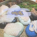 구디 룸횟집 추천! 어해도 횟집