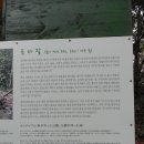 함덕등대 이미지