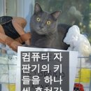 센치