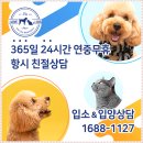 강아지보호소 입소 아이조아 알아봤어요