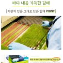 전통시장갯마을협동조합 네이버블로그
