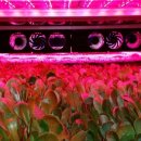 유니콘농장 이미지