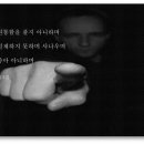 참손가 이미지