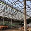 계양축산 이미지