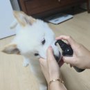 쓱싹 이미지