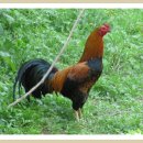 주차장매점 이미지