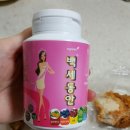 백세동안