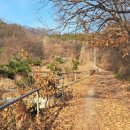 대흥1리 마을회관 | 이천토지 / 대월면 대대리, 하이닉스 후문 산자락 아래 남향받이 우수한 전원주택부지 전 340여평 매매...