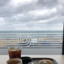 바움하우스 이미지