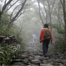 걸으면 뇌가 젊어진다|생활종합정보 이미지