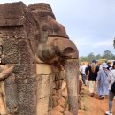 왕궁동물병원 이미지