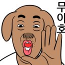 처음처럼포차 네이버블로그